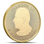 2026 1/10 oz Canadian Gold Maple Leaf Coin | 999.9 Gold - Image 2